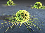 cancer156x117.jpg