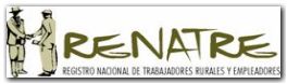 renatre.jpg renatre.jpg