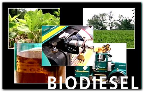 biodiesel1
