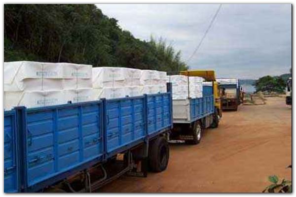 camions-parados