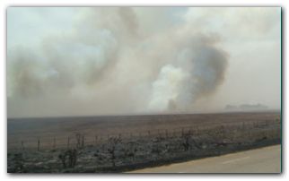 sanincendio1