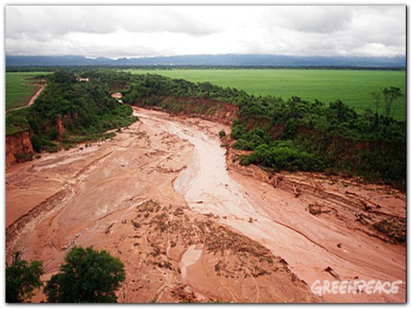 Zona agrícola, desmontada sobre la ladera del río, con escasa co Zona agrícola, desmontada sobre la ladera del río, con escasa co