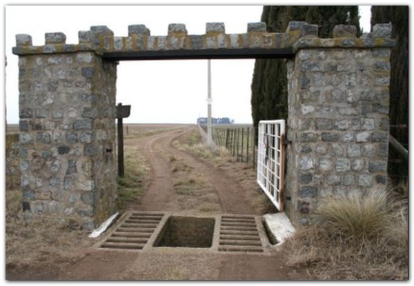 campo campo