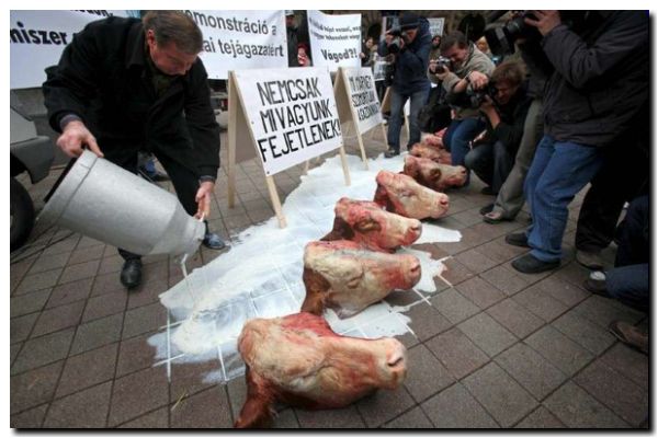 leche-manifestantes leche-manifestantes